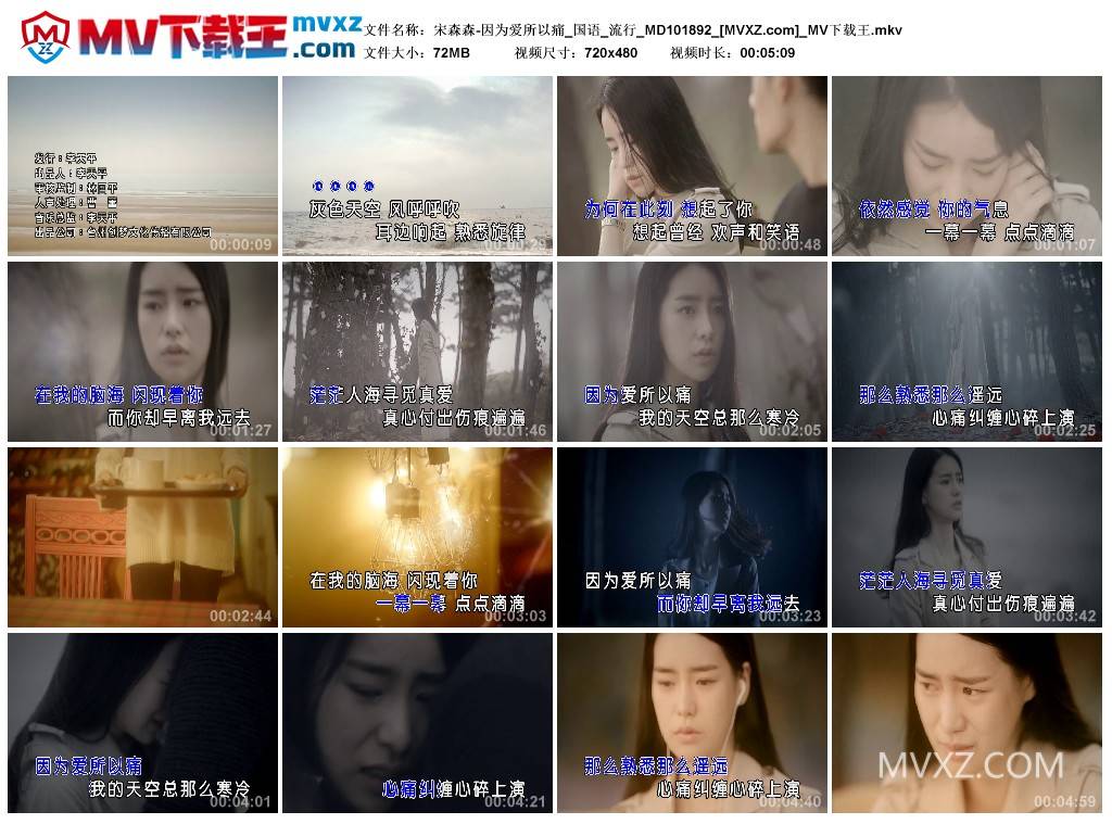 宋森森-因为爱所以痛_国语_流行_MD101892